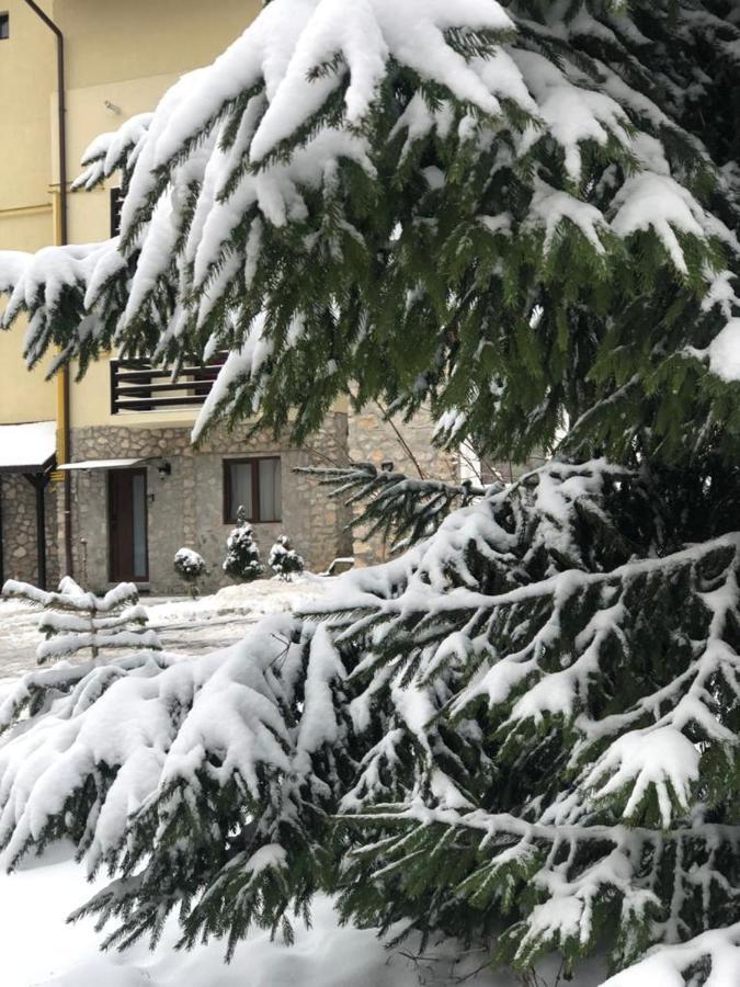 Apartament Nicolle Apartment Пояна Брашов Екстериор снимка
