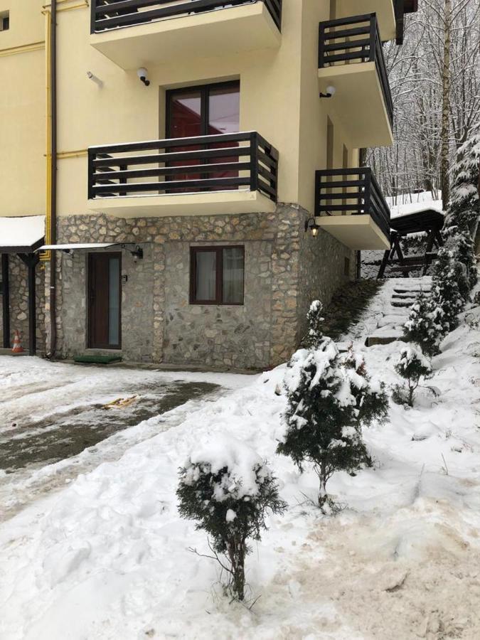 Apartament Nicolle Apartment Пояна Брашов Екстериор снимка
